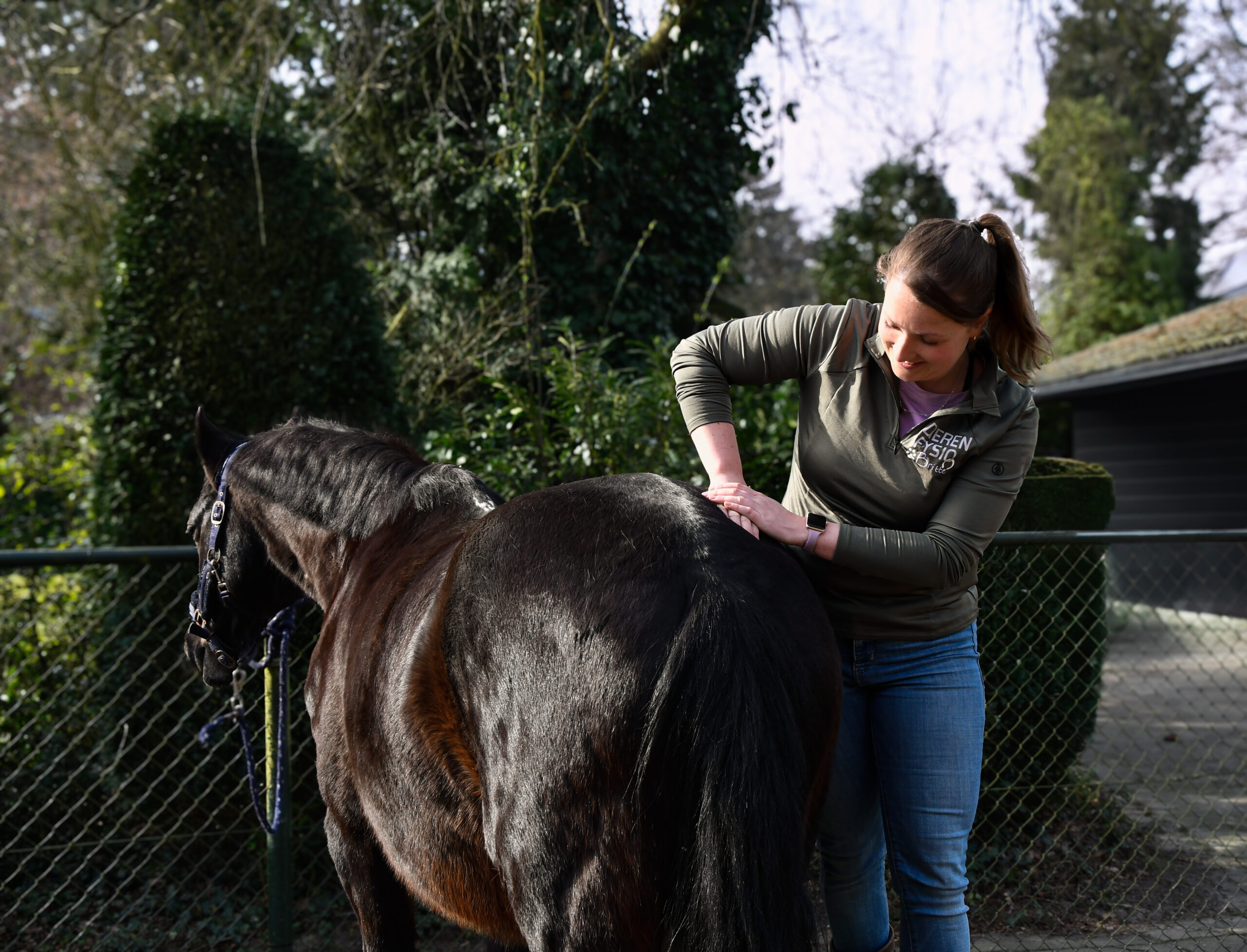 Viv bekken onderzoek