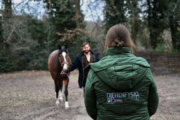 Inspectie in beweging DJ