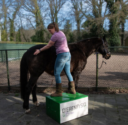 Viv behandeling met blok