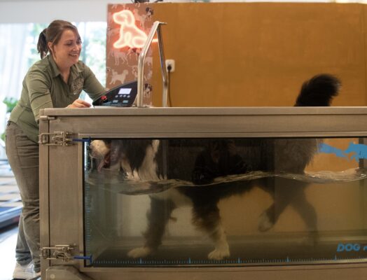 hydro therapie hydro house