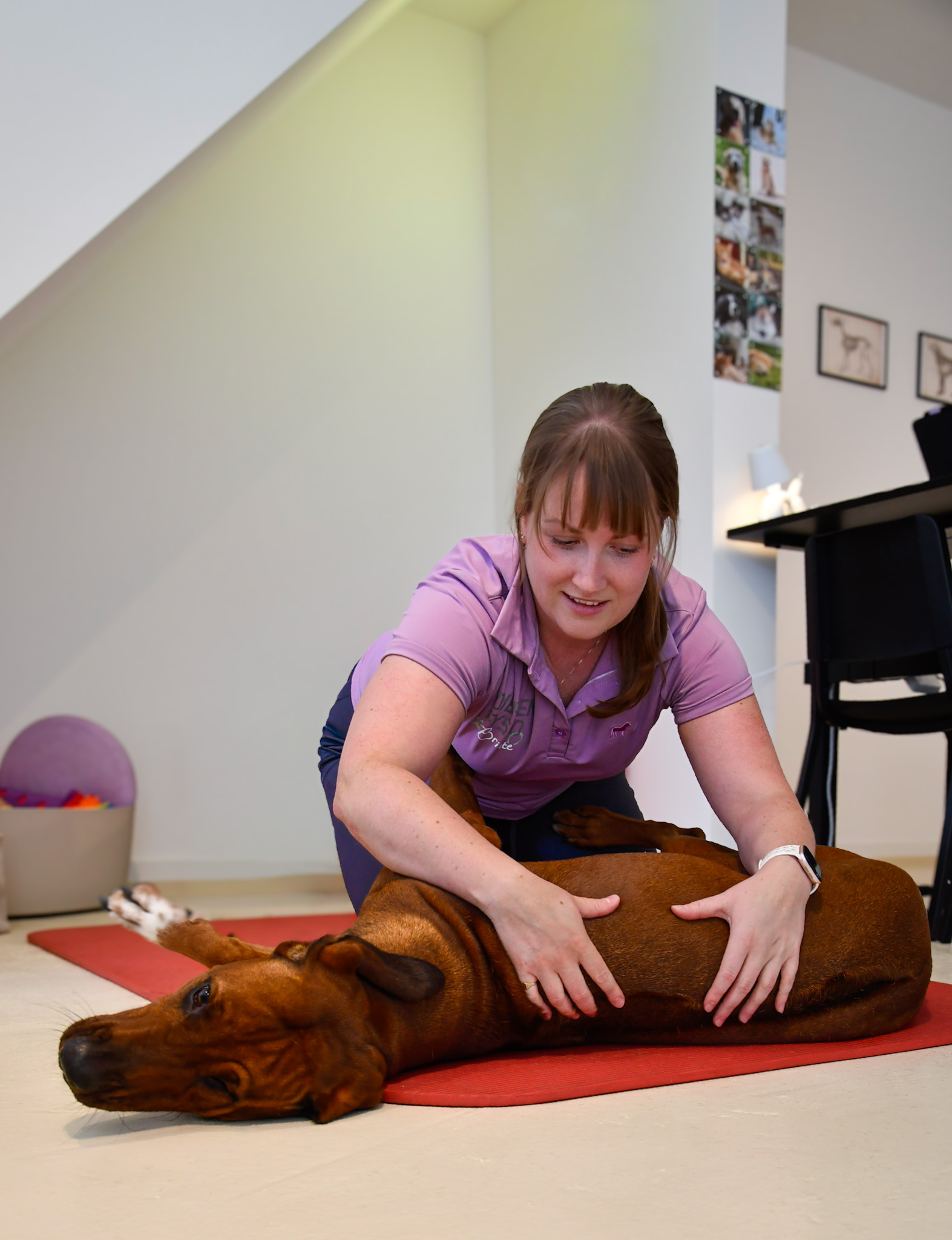 Fysiotherapie kesi